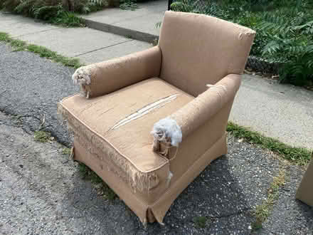 Photo of free stuff on Prentiss Street (Watertown near Arlington St) #3
