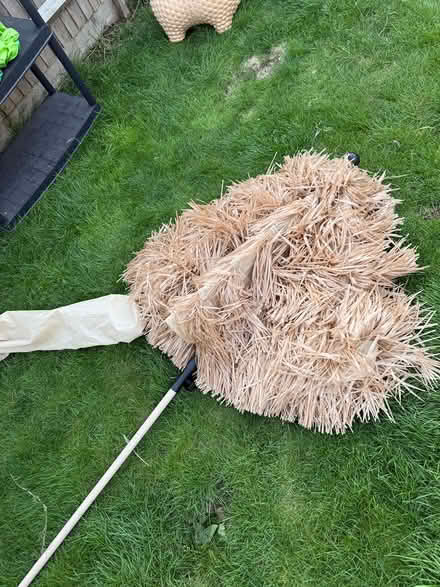 Photo of free Tiki parasol umbrella (Willingdon BN22) #1