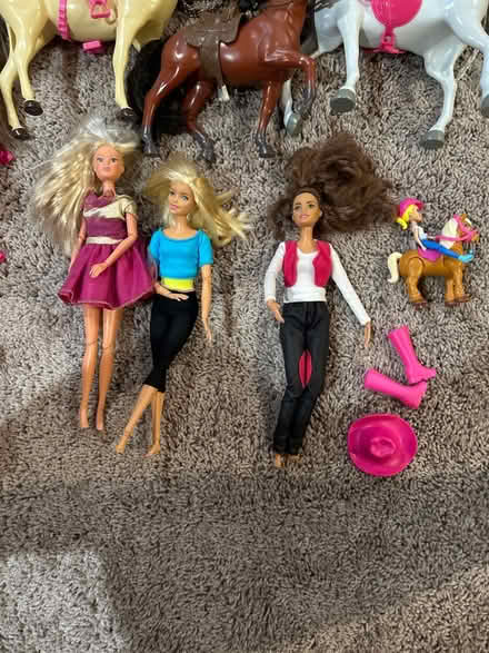 Photo of free Barbie Horse Toys & Dolls (Owings Mills,MD) #3