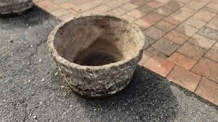 Photo of free Decorative concrete planters (hucknall ng15) #4
