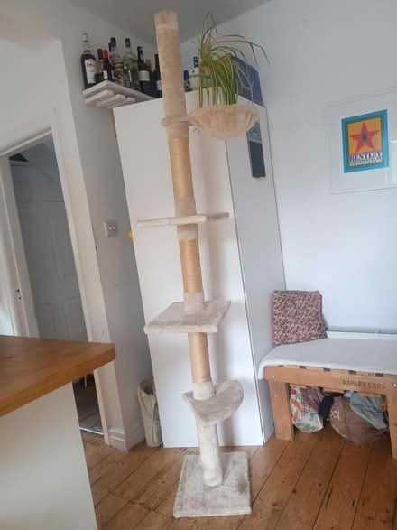 Photo of free Cat tree (M21, Chorlton) #1