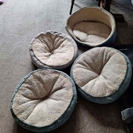 Photo of free Cat/Dog beds (Seaside BN22) #1