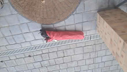 Photo of free Child's folding camping chair (Northcourt OX14) #2