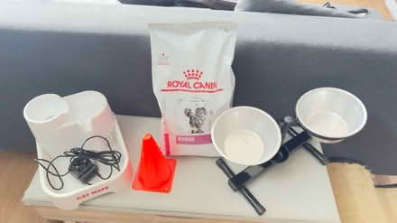 Photo of free Cat supplies (Windsor) #1