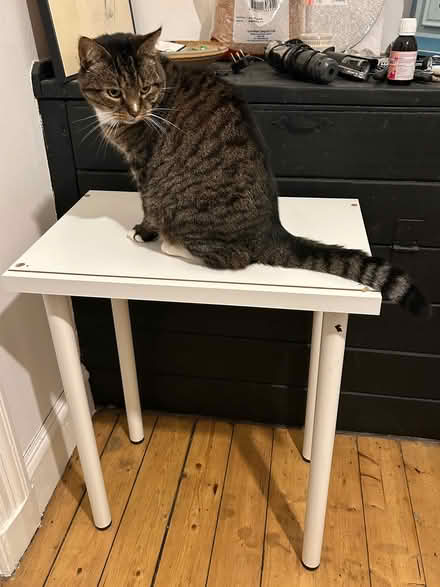 Photo of free Small White Table / Compact Desk (Woodside G20) #3