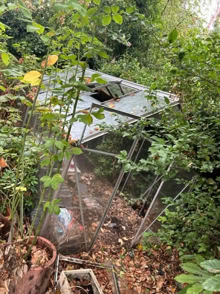 Photo of free Greenhouse (West Bridgford NG2) #4