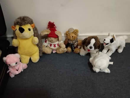 Photo of free Soft Toys (St. Stephen's CT2) #1