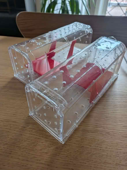 Photo of free Mouse traps (Millwall E14) #1