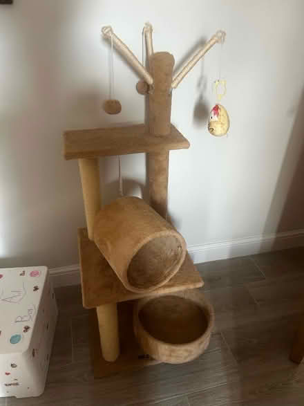 Photo of free Cat tower (Glusburn BD20) #1
