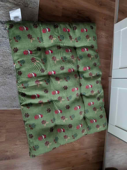 Photo of free Large green Xmas theme dog bed (Maidstone ME15) #1