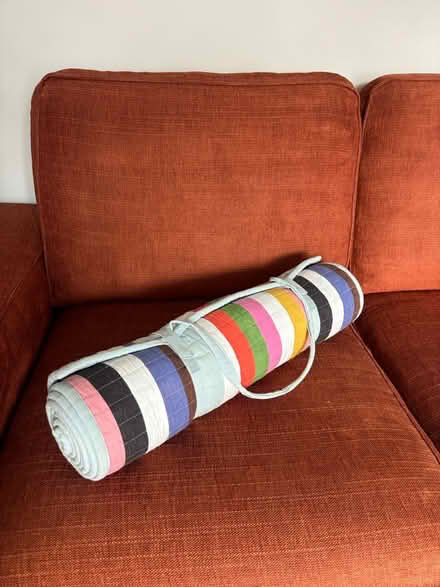 Photo of free Picnic mat (Heeley, S2) #3