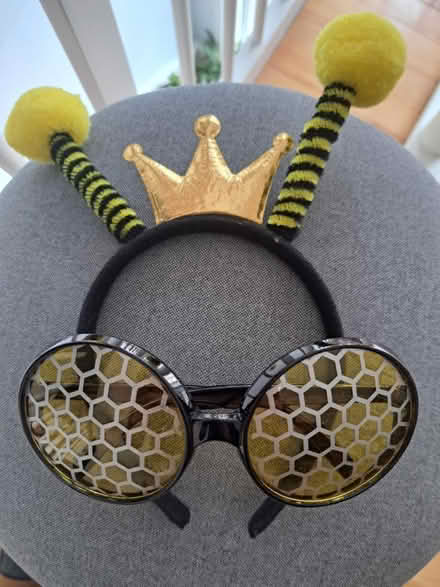 Photo of free Halloween bee accessories (Rotherhithe SE16) #1
