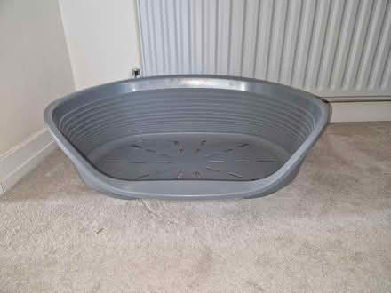 Photo of free Plastic dog bed, medium size (Hitchin SG4) #1