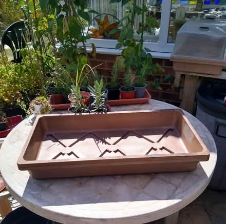 Photo of free Large C-through Covered Seed Tray (Thorpe Bay, SS1) #2