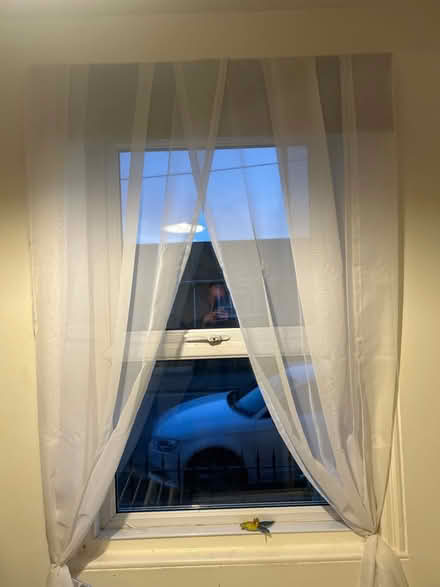 Photo of free Two sets of net curtains (Dursley road BA14) #1