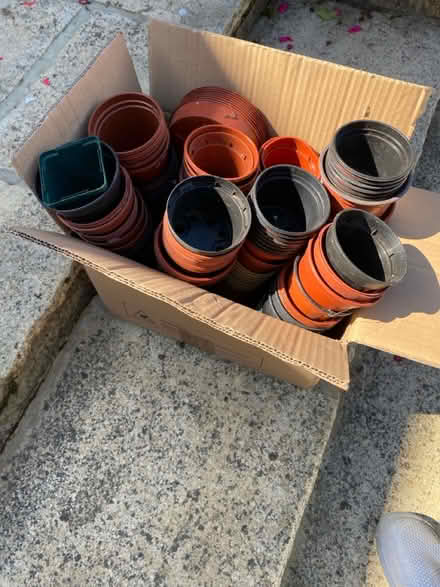 Photo of free Mixed box of plant pots (Ipswich IP4) #1