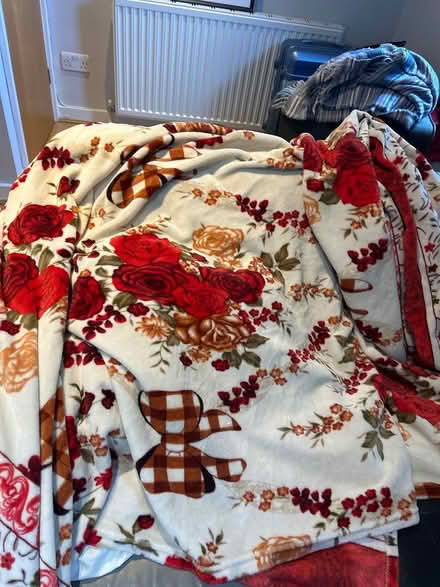 Photo of free king sized fuzzy blanket (Hyde park LS6) #1