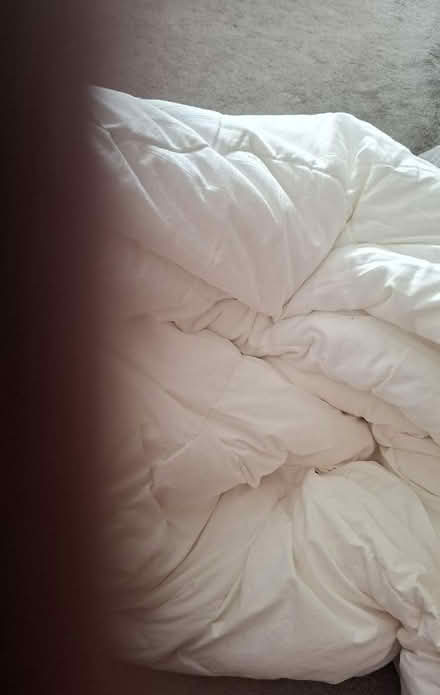 Photo of free 2 x 4.5 double duvets (Gosport PO12) #1