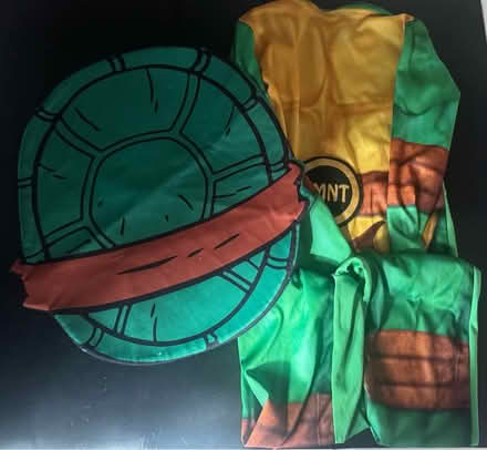 Photo of free Kids ninja turtle costume (Portsmouth PO2) #1