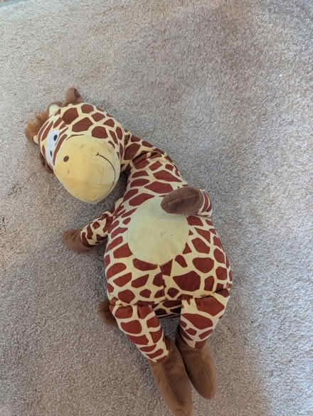 Photo of free Dog toys (Aston OX18 2) #3