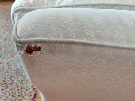 Photo of free 2 seater Laura Ashley sofa (Mapperley Park NG3) #4
