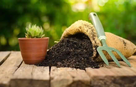 Photo of Soil for planting (Liverpool L6) #1