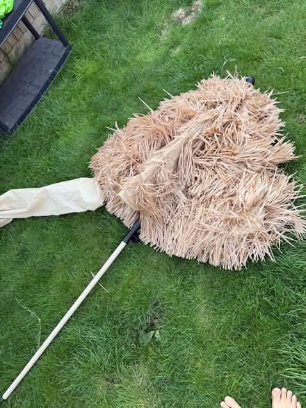 Photo of free Tiki parasol umbrella (Willingdon BN22) #2