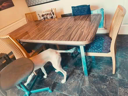 Photo of free Large stain resistant table (Greystones) #3