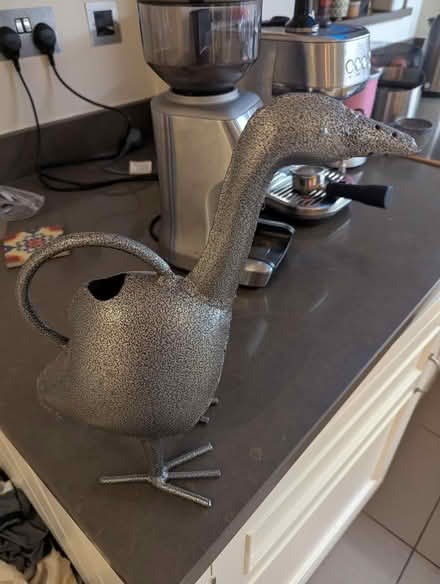 Photo of free Watering can (Shepherds Bush W14) #1