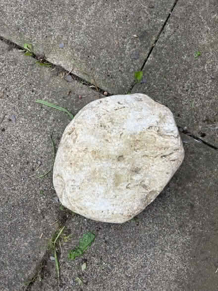 Photo of free Rock (Washington NE37) #1