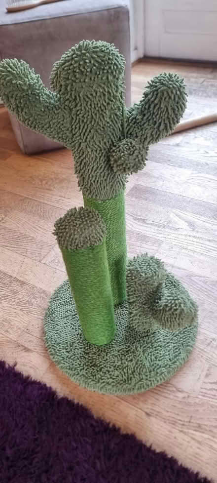 Photo of free Cat scratch post (Hampstead Garden Suburb, NW11) #1