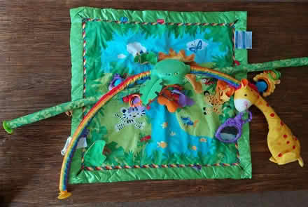 Photo of free Beautiful Fisher Price Baby Playmat (Top Amersham HP6) #2