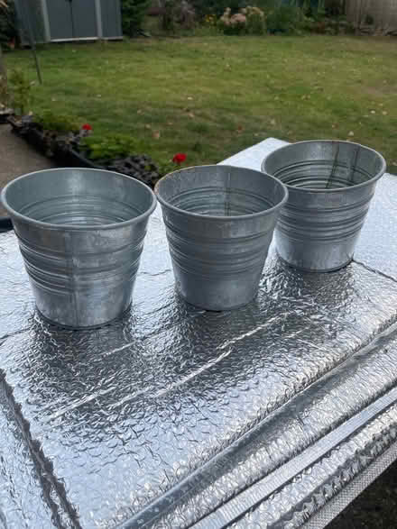 Photo of free Plant pots (Anerley SE20) #1