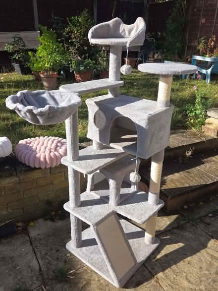 Photo of free Cat tree (Shenley Lodge MK5) #1