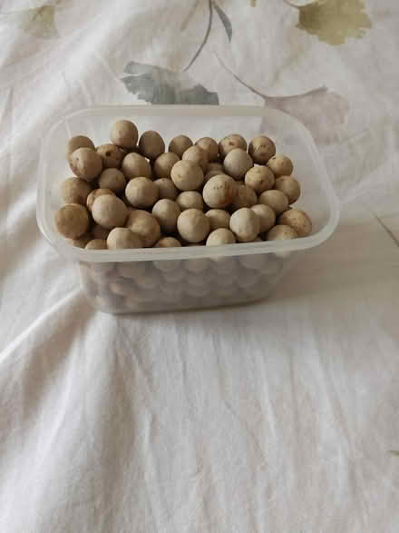 Photo of free Ceramic baking beads (Townhill Park/West End SO18) #1