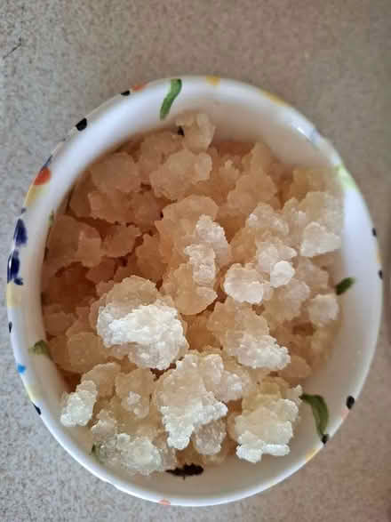 Photo of Water kefir grains (West Harton NE33) #1