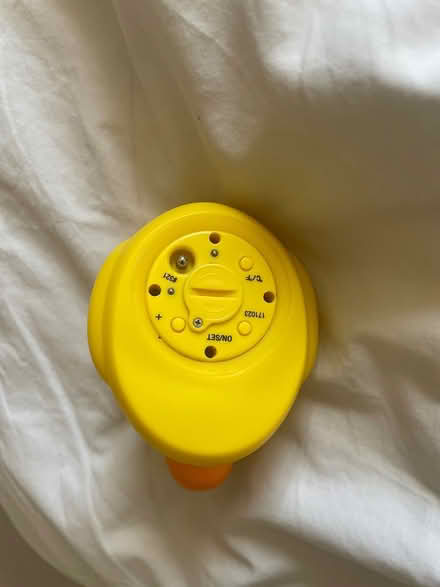 Photo of free Bath thermometer (Abingdon OX14) #3