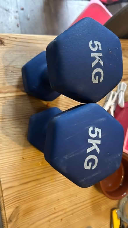 Photo of free 2 x 5kg Weights / Dumbells (Twickenham TW1) #1