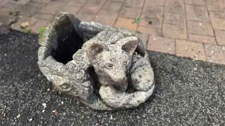 Photo of free Decorative concrete planters (hucknall ng15) #1