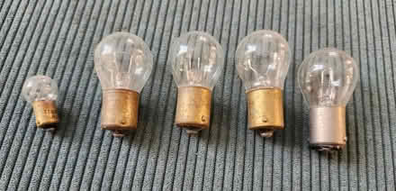 Photo of free Assorted Bulbs (Ambler) #1