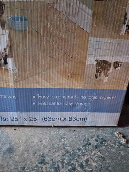 Photo of free Dog/Small animal 6 panel Play-Pen (Clacton-on-Sea CO15) #1