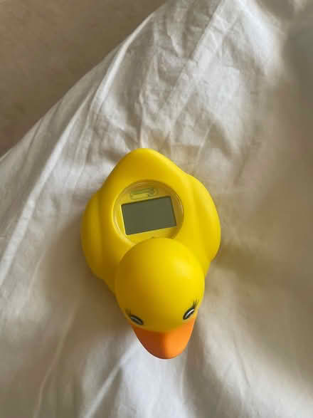 Photo of free Bath thermometer (Abingdon OX14) #2