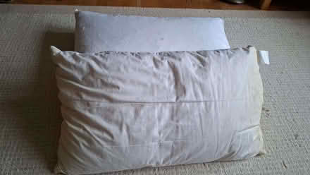 Photo of free 2 feather pillows (Divinity Road OX4) #1