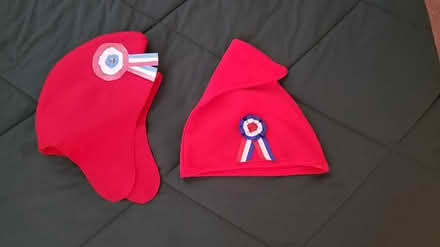 Photo of free Props for French class? (Severn off Quarterfield Road) #1