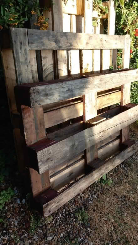 Photo of free Pallets (Blunham MK44) #1