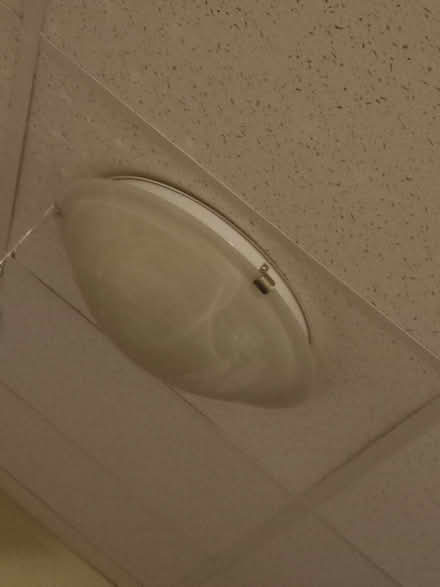 Photo of free Flush Mount Light Rixtures (central calgary) #2