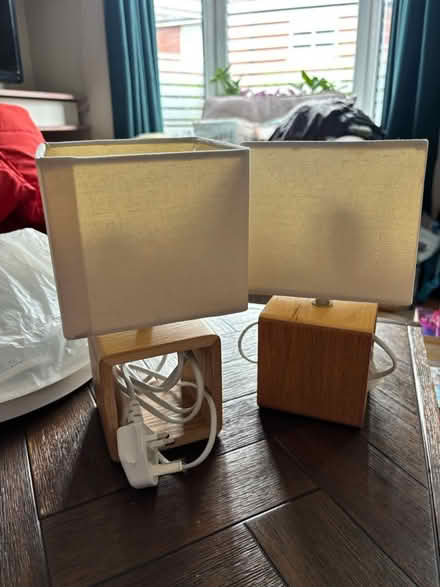 Photo of free 2 small lamps (Heeley, S2) #1