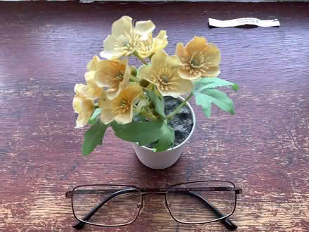 Photo of free Small plastic flower (Crewkerne) #1