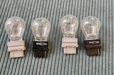 Photo of free Assorted Bulbs (Ambler) #4