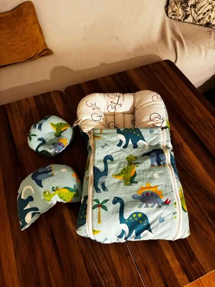 Photo of free Small Baby Nest – Dinosaur Design (Waltham Cross EN3) #1